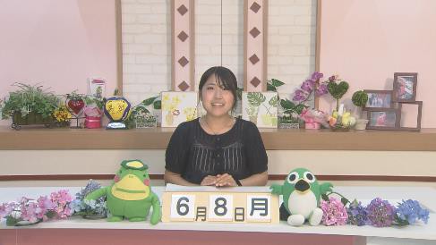 各メデイアでの紹介